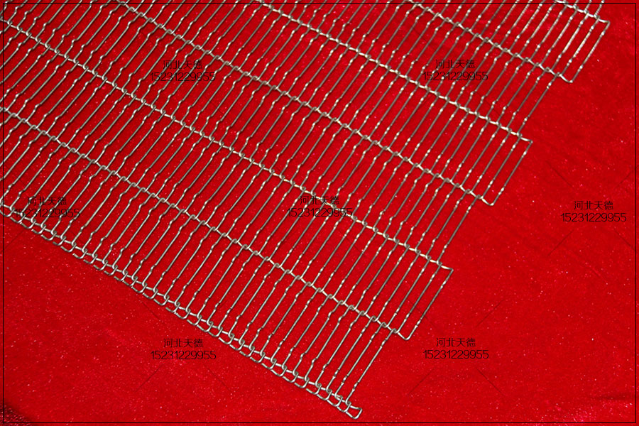 倍速鏈裝配線不銹鋼輸送帶